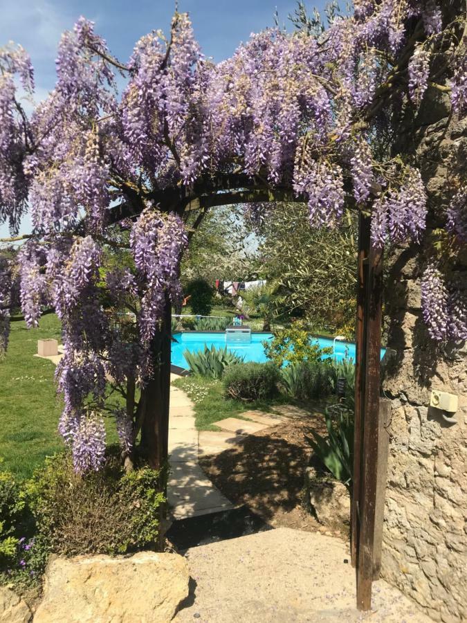Chambres D'Hotes La Vallee Des Vignes Monthou-sur-Cher Eksteriør bilde